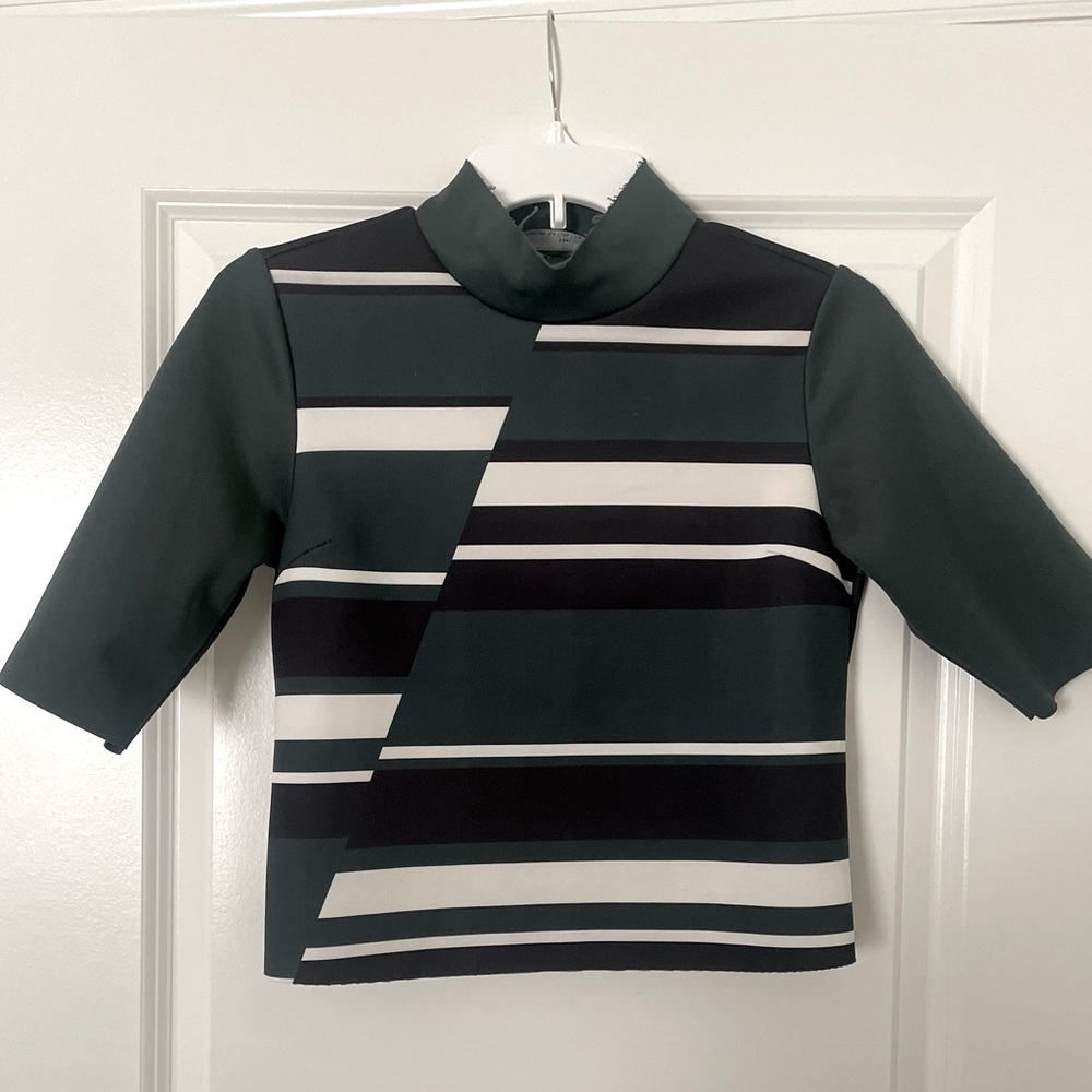 Zara Turtleneck Top With Stripes